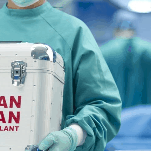 Organ transplant